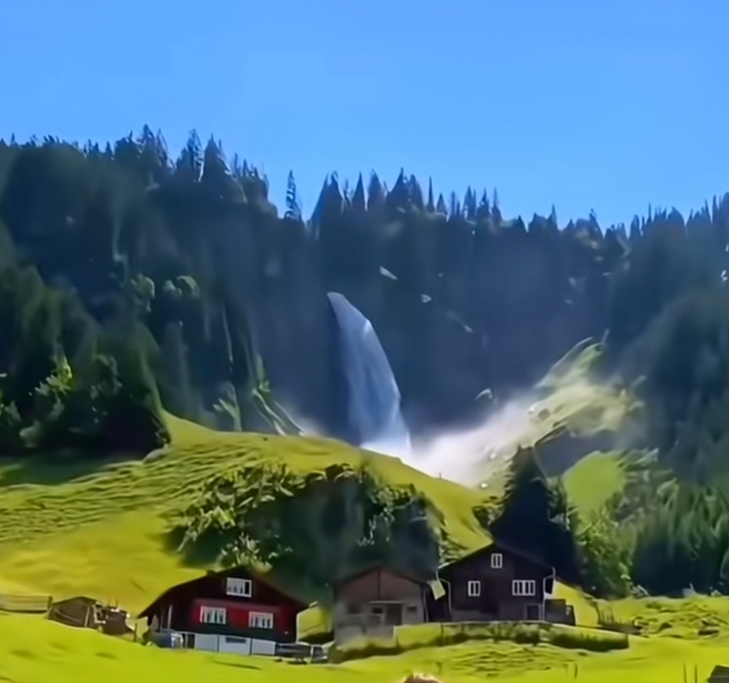 中年人的情感故事_幸福忘了遇见我_中年生活的感悟