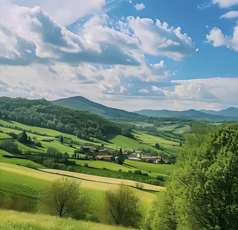 中年人的情感故事_幸福忘了遇见我_中年生活的感悟