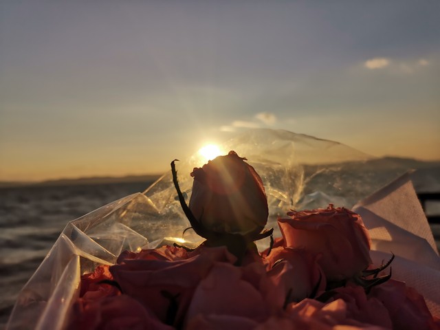 物理化学在生活应用_化学的浪漫_宇宙元素起源