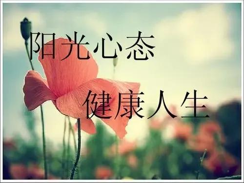 心理学基础知识_知觉的基本特征 生活应用_心理学主要流派