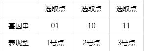 遗传算法应用生活实例_遗传算法原理_遗传算法编码选择交叉变异
