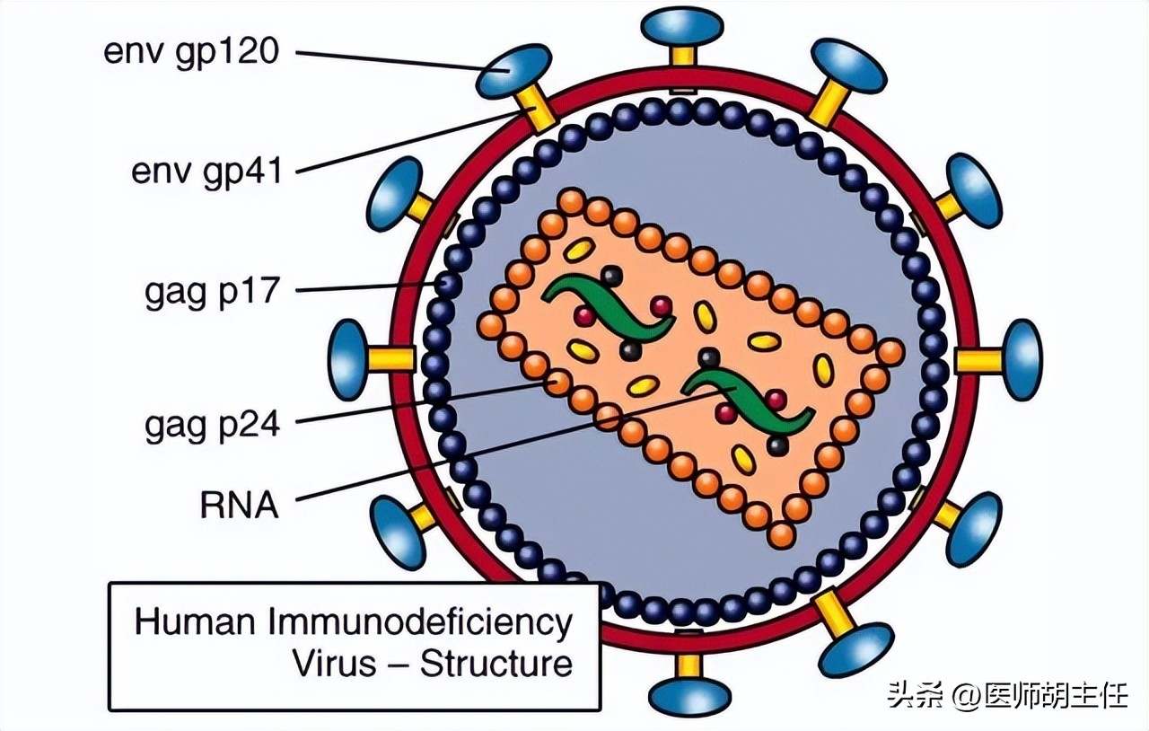 艾滋病皮肤病变_艾滋病早期症状_艾滋病与水痘