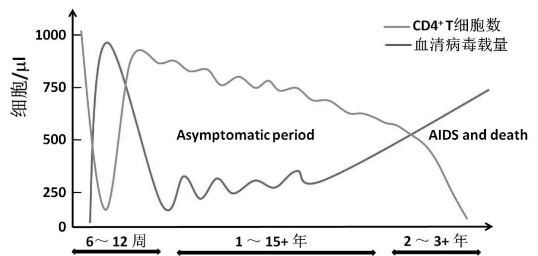 艾滋病与水痘_艾滋病病毒感染机制_艾滋病机会性感染症状