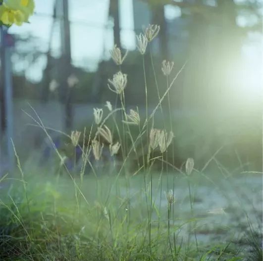 换个角度看问题_逆向思维_生活逆向思维应用故事
