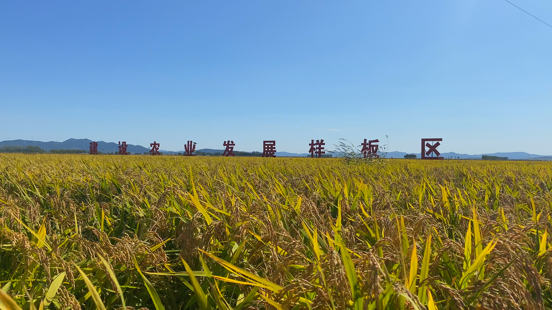 汤原县旅游攻略_汤原县医保局职工报销_汤原县红色旅游