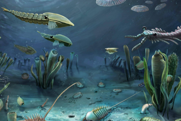 不停升级的手机单机游戏_大型单机手游推荐 飞行模拟器2021 生物进化论 滑雪大冒险 登山赛车 指尖帝国