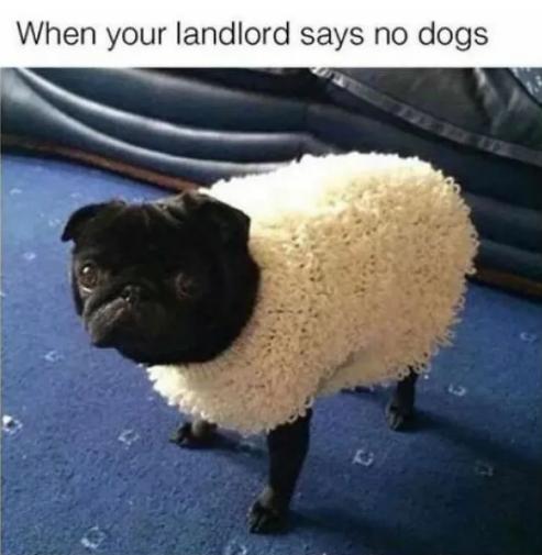 生活应用方面的知识_恋爱小窍门_生活小妙招