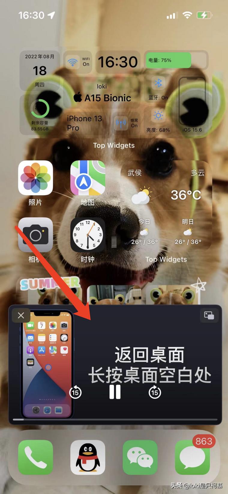 苹果手机有趣的软件_滚动截屏 iPhone长截图功能_Top Widgets iPhone美化软件