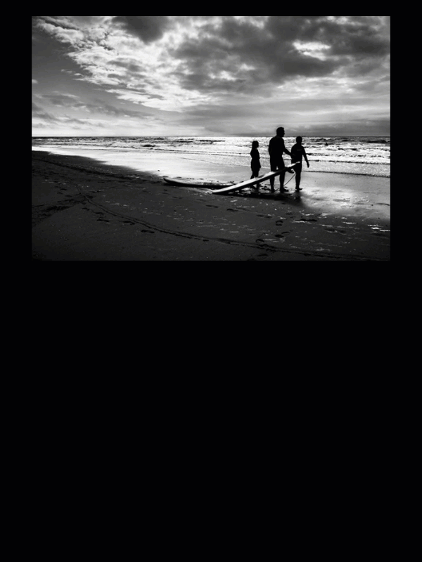 kia云手机版登录 生物老师：数学老师，你走开，这道题我来解