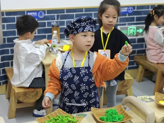 幼儿园游戏观摩评析_幼儿园区域游戏指导_小班游戏专题小结