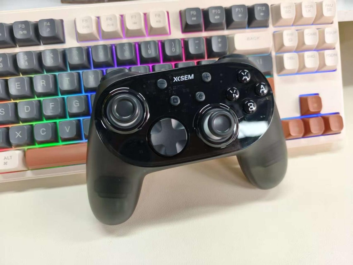 300元游戏手柄排行前十名_2025年游戏手柄推荐_以下哪部游戏设备