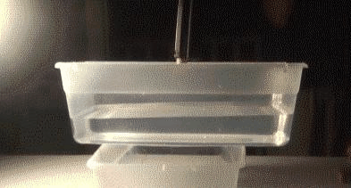 非牛顿流体生活应用_波士顿糖蜜洪灾 非牛顿流体 剪切变稀