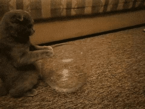 开·云app体育登录入口 牛顿棺材板压不住时，请祭出此物防身！