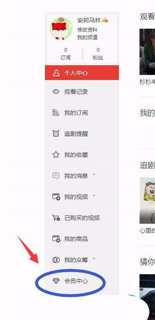 搜狐视频电脑版下载_搜狐影音安装教程_苹果电脑下什么软件追美剧