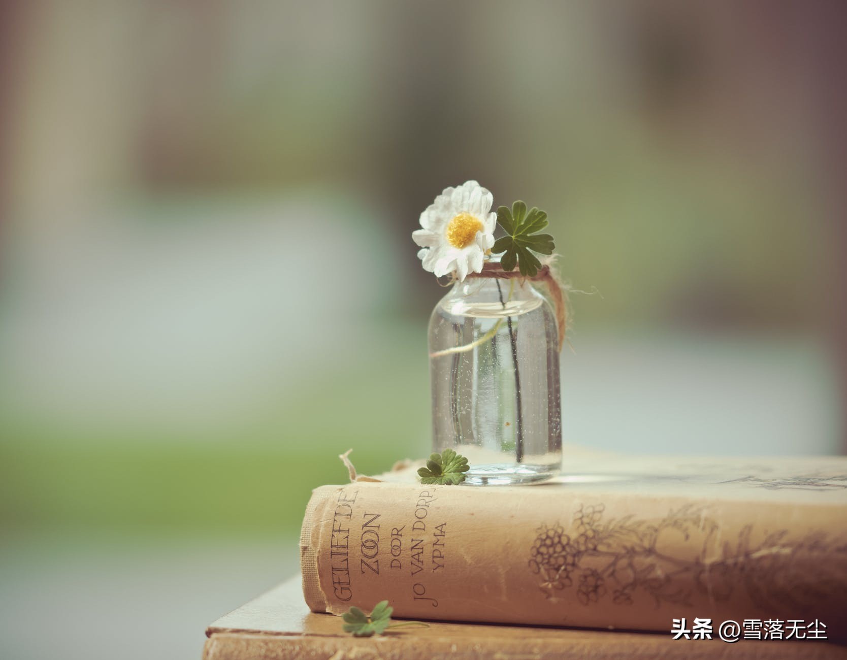 分手后,为何一直走不出来?只因有些事你还没看透