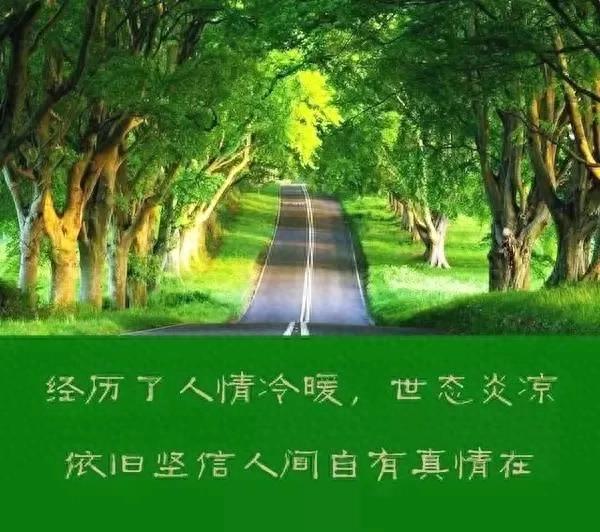只有经历过才会懂，你精心维护的人脉，在你落魄时比冰块还冷