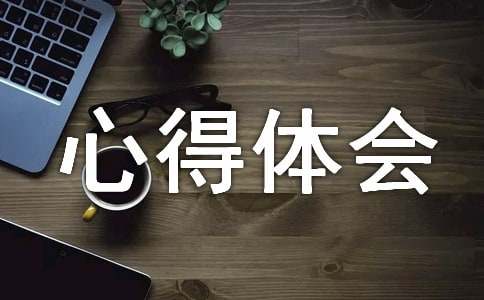 工程结算实训心得体会总结模板