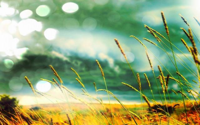 社交圈子扩展人脉的重要性_借助人脉实现个人成长与事业拓展_人脉圈子个人成长强大