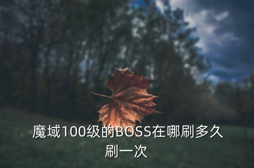 魔域100级的BOSS在哪刷多久刷一次