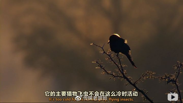 B站有哪些「惊为天人」的UP主？赶快Mark