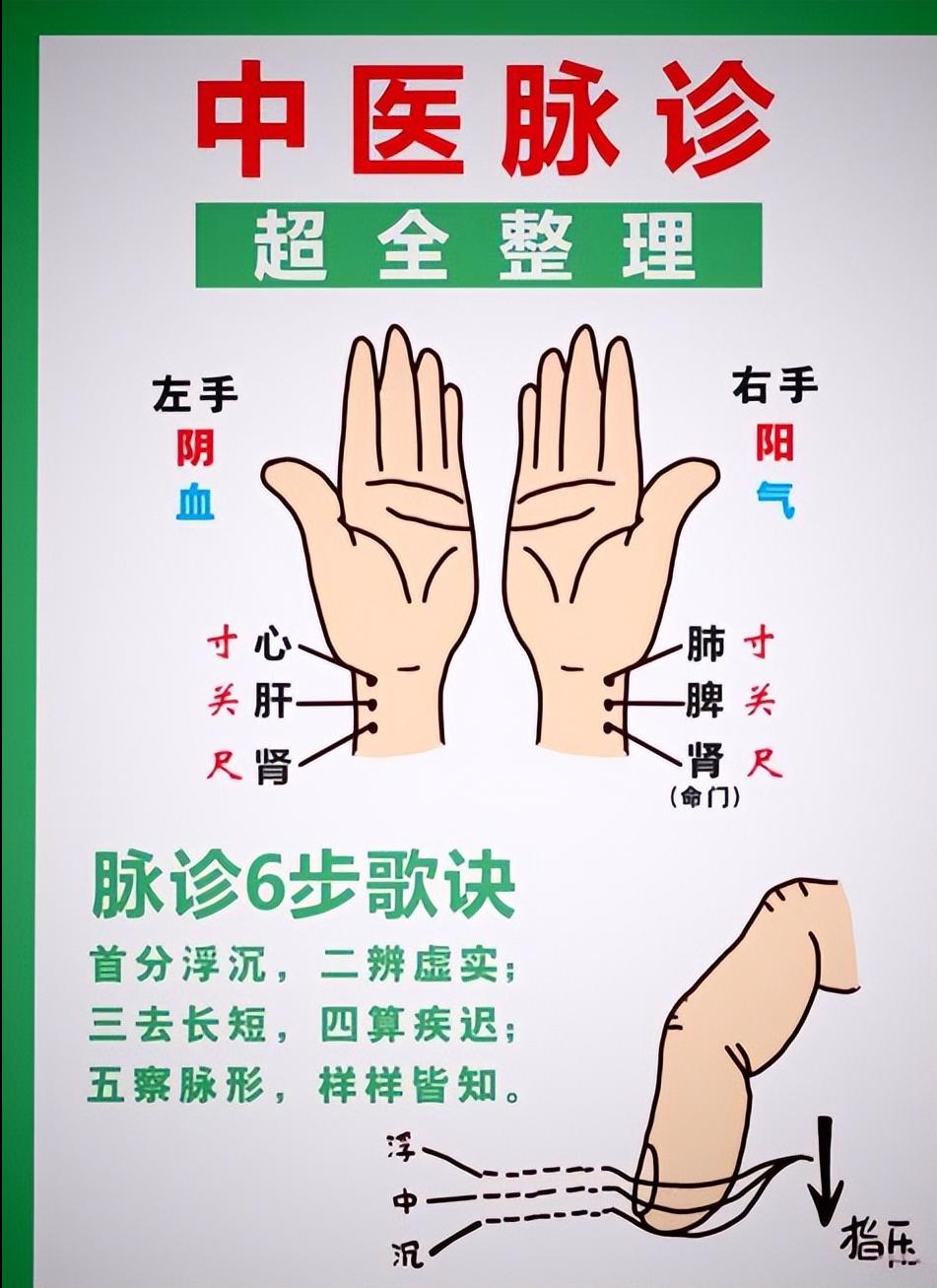 中医把脉原理_把脉诊断疾病方法_听诊器原理生活应用