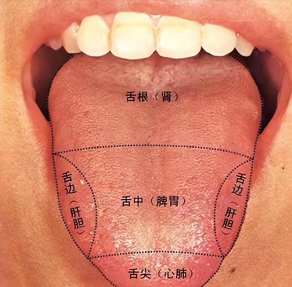 听诊器原理生活应用_把脉诊断疾病方法_中医把脉原理