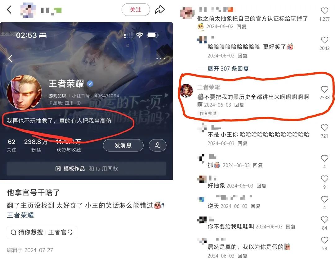 王者荣耀营收增长_网易游戏专题_王者荣耀行业地位