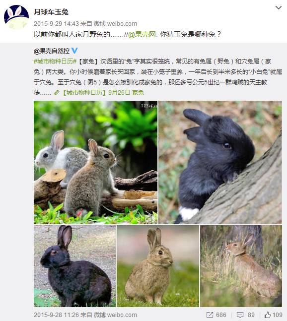 玉兔号月球车 微博_月球玉兔二号的照片_月球车玉兔的微博谁发的