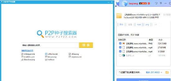 p2p种子搜索器安装包