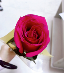 开·云app体育登录入口 正确使用美图秀秀手机版进行图像抠图和合成的方法