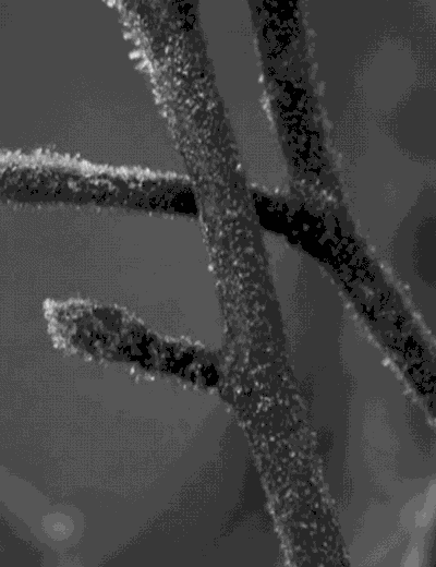 生活应用方面的知识_生活中的物理冷知识_物理与生活实例