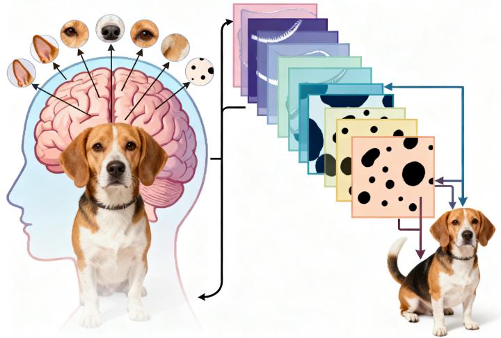 卷积在生活应用_图像识别技术原理_卷积神经网络工作原理