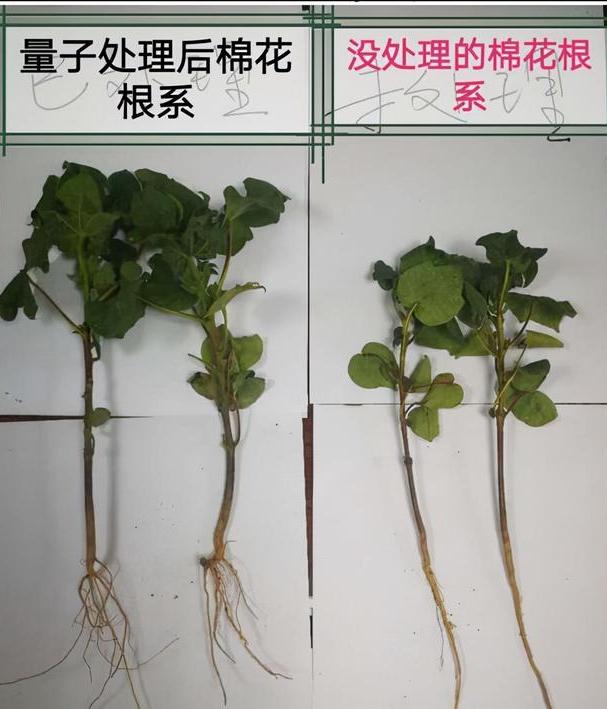 电磁炮生活应用_电磁炮的应用领域_电磁炮的应用