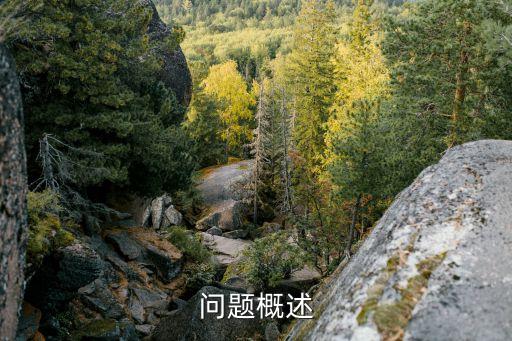 问题概述