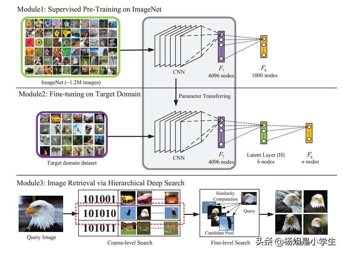 卷积计算过程_卷积基本概念_卷积在生活应用